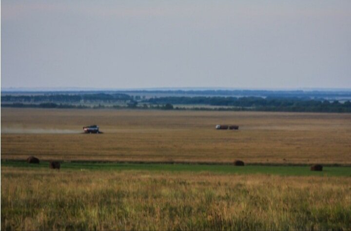 Картинка взята с Яндекса.