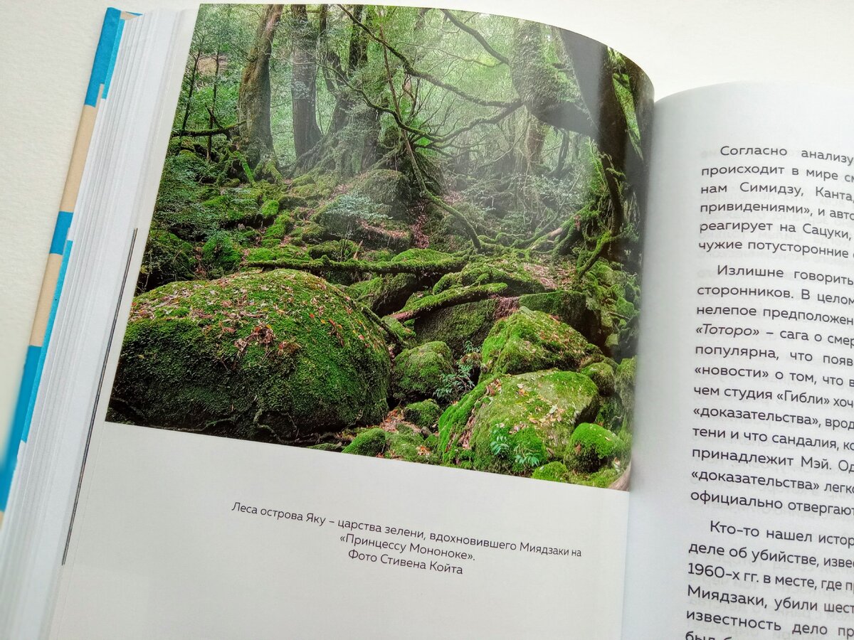 болотная ведьма хаул. (эксмо). сьюзан нейпир волшебные миры хаяо миядзаки. книга хаяо миядзаки. миры хаяо миядзаки книга.