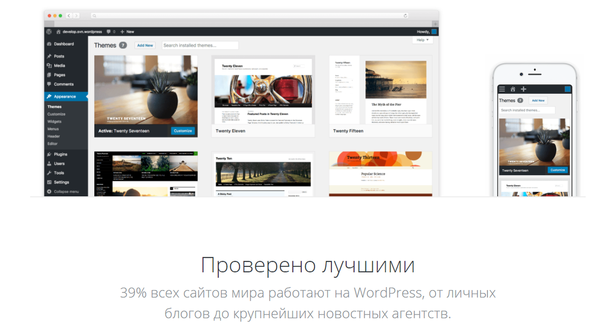 Примечательно, что когда я работал со своим первым сайтом, WordPress писали о присутствии в 56% всех сайтов мира, а теперь указывают лишь 39%, но это всё равно больше, чем у кого-бы то ни было.