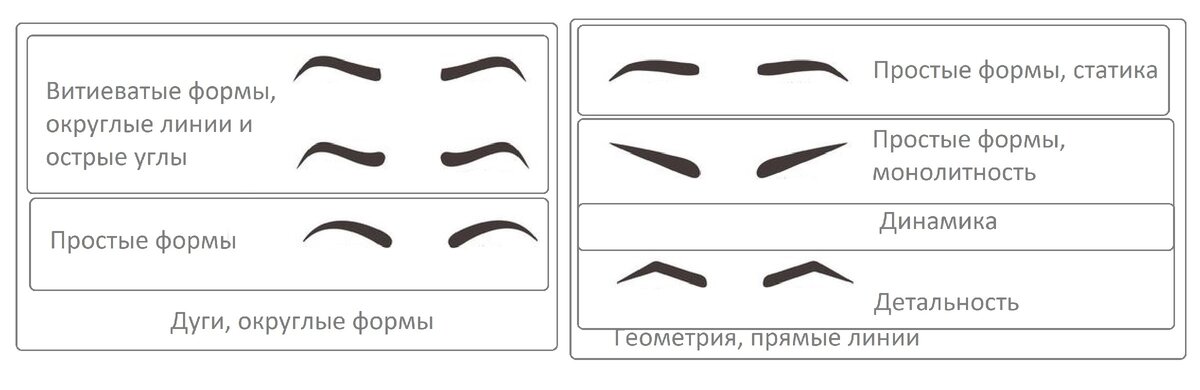 Геометрия бровей.