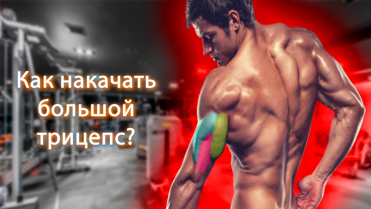 Игорь Выборнов трицепс