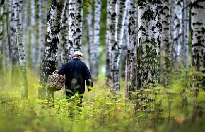 6 вещей, которые запрещено делать, заблудившись в лесу