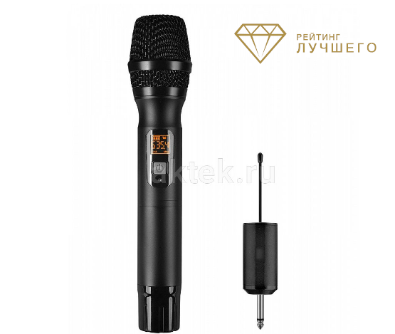 SkyDisco MIC-WL10
