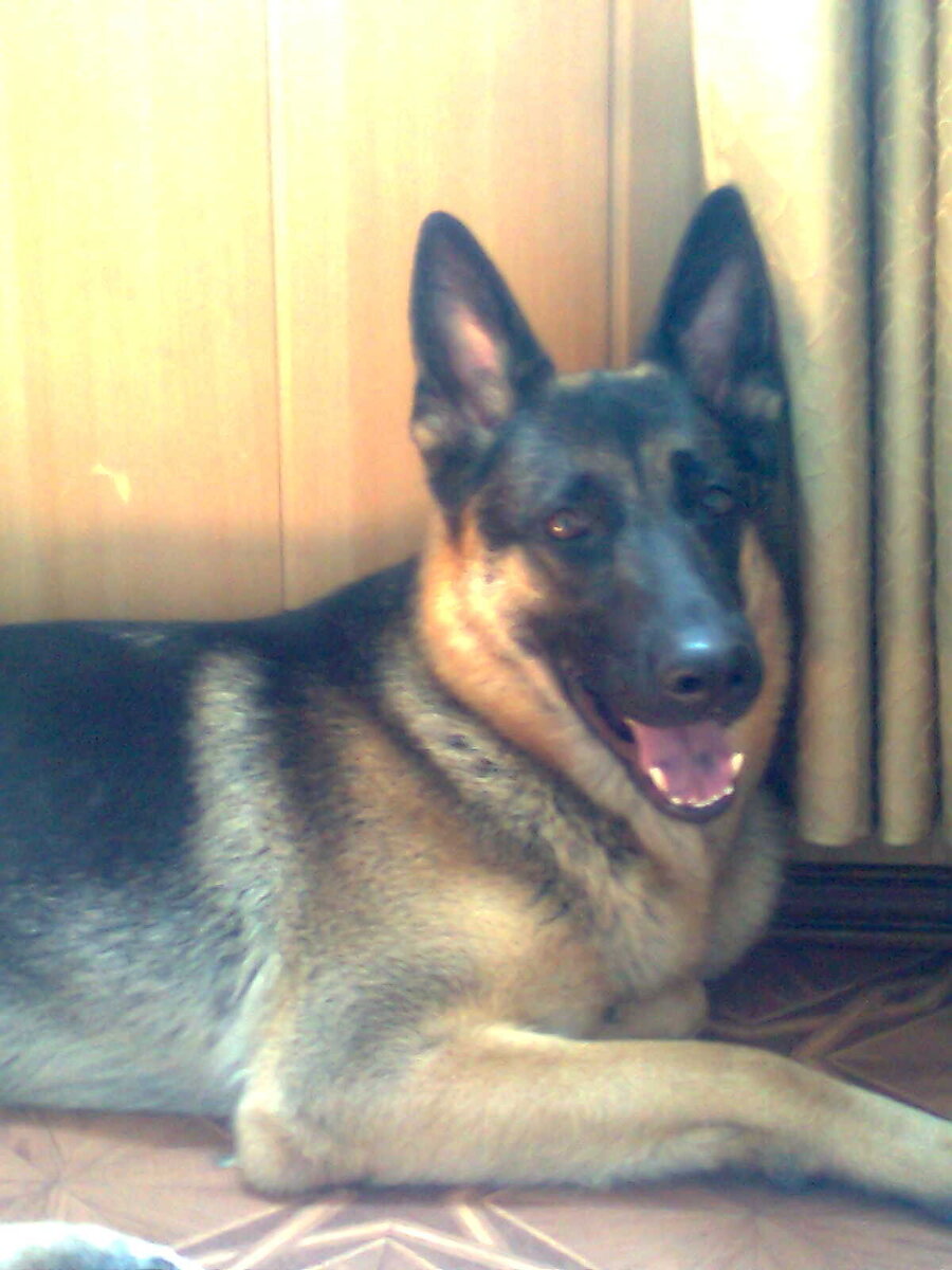 Моя любимица.