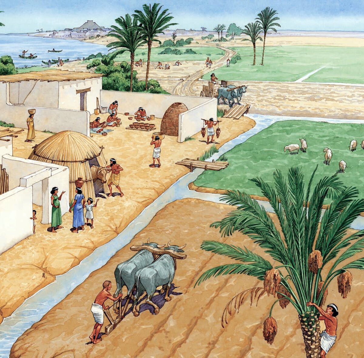 Жизнь простого человека в Древнем Египте 1 часть