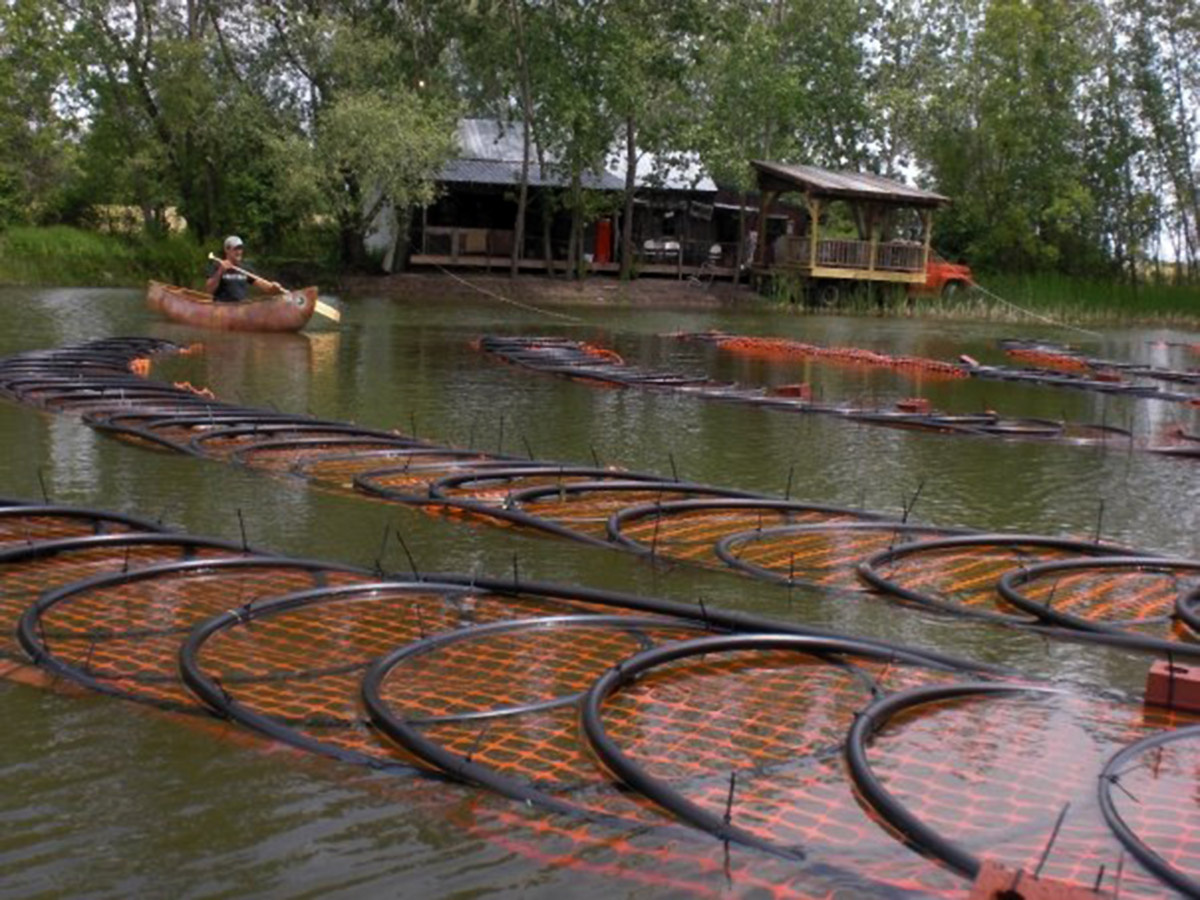 Пример коллектора закрытой системы типа "вода-вода"