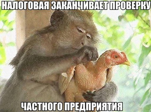 Дотошный проверяющий! Картинка из интернета.