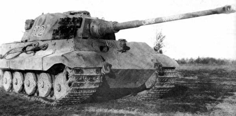 Королевский тигр 