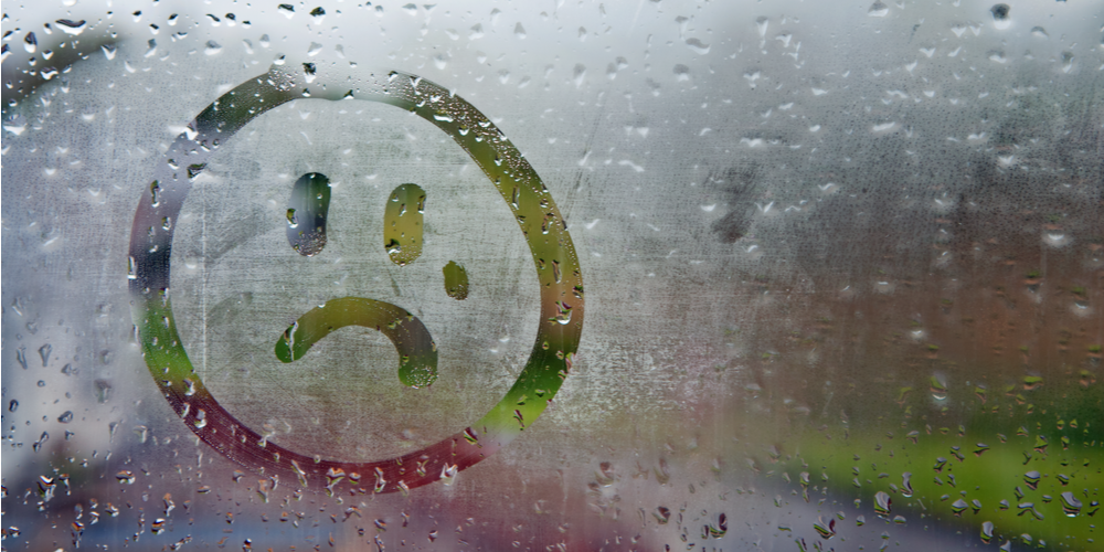 Фото с сайта www.shutterstock.com         