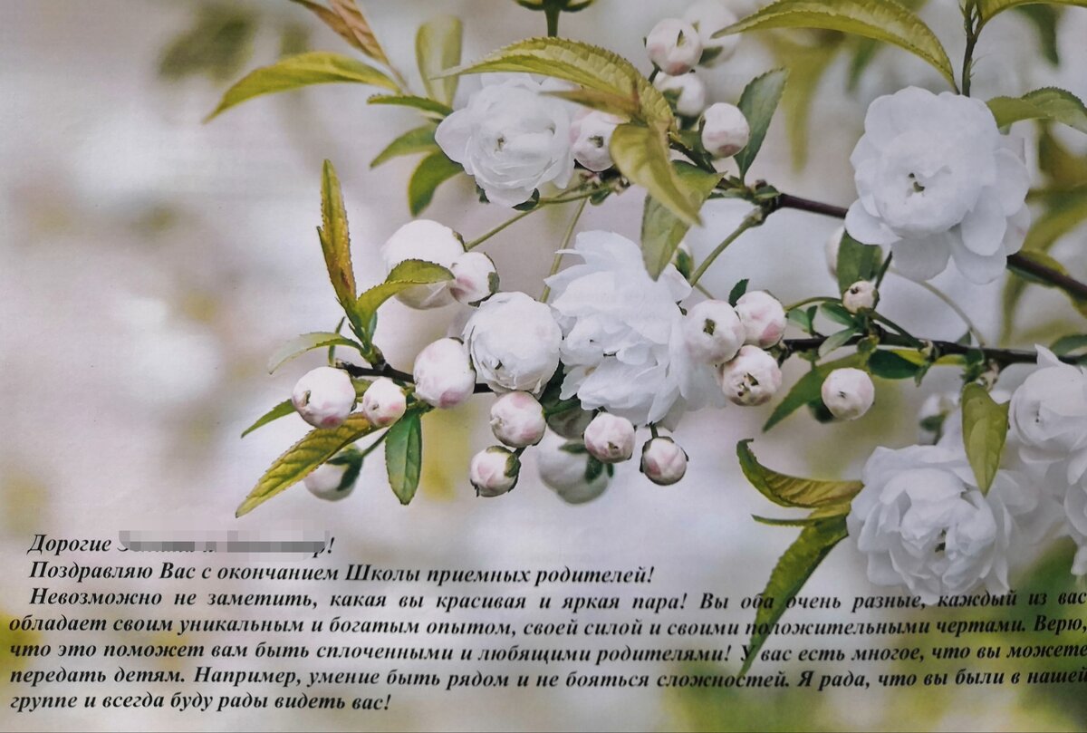 В дополнение к свидетельствам о прохождении подготовки в ШПР каждой семейной паре вручили по открытке с тёплыми словами. Мы получили такую. В школе (Центр семьи и детства "Планета семьи") была очень добрая и доверительная атмосфера. 