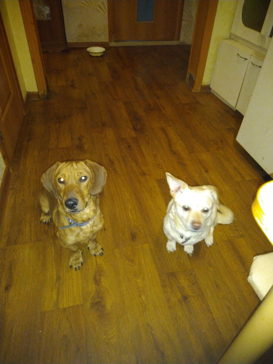 Осиротевшие.. 