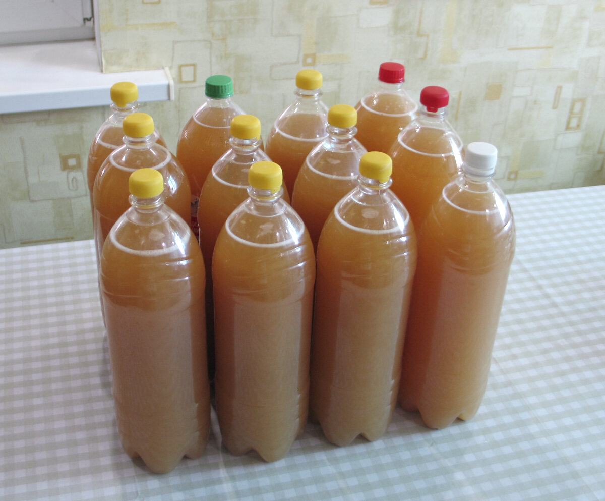 "Жигулевское", сваренное по первому рецепту, пока мутноватое, дрожжи попались странные.