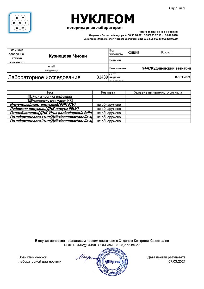 80кошек_ореховозуево помогите погасить долг МИНУС 13369РУБ! | Всемпокошке |  Дзен