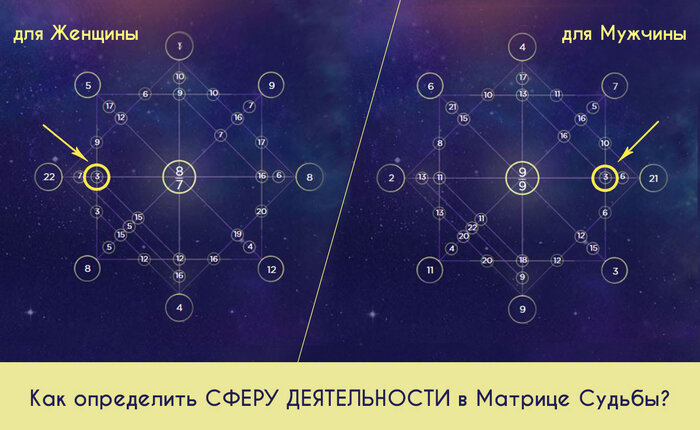 сфера деятельности