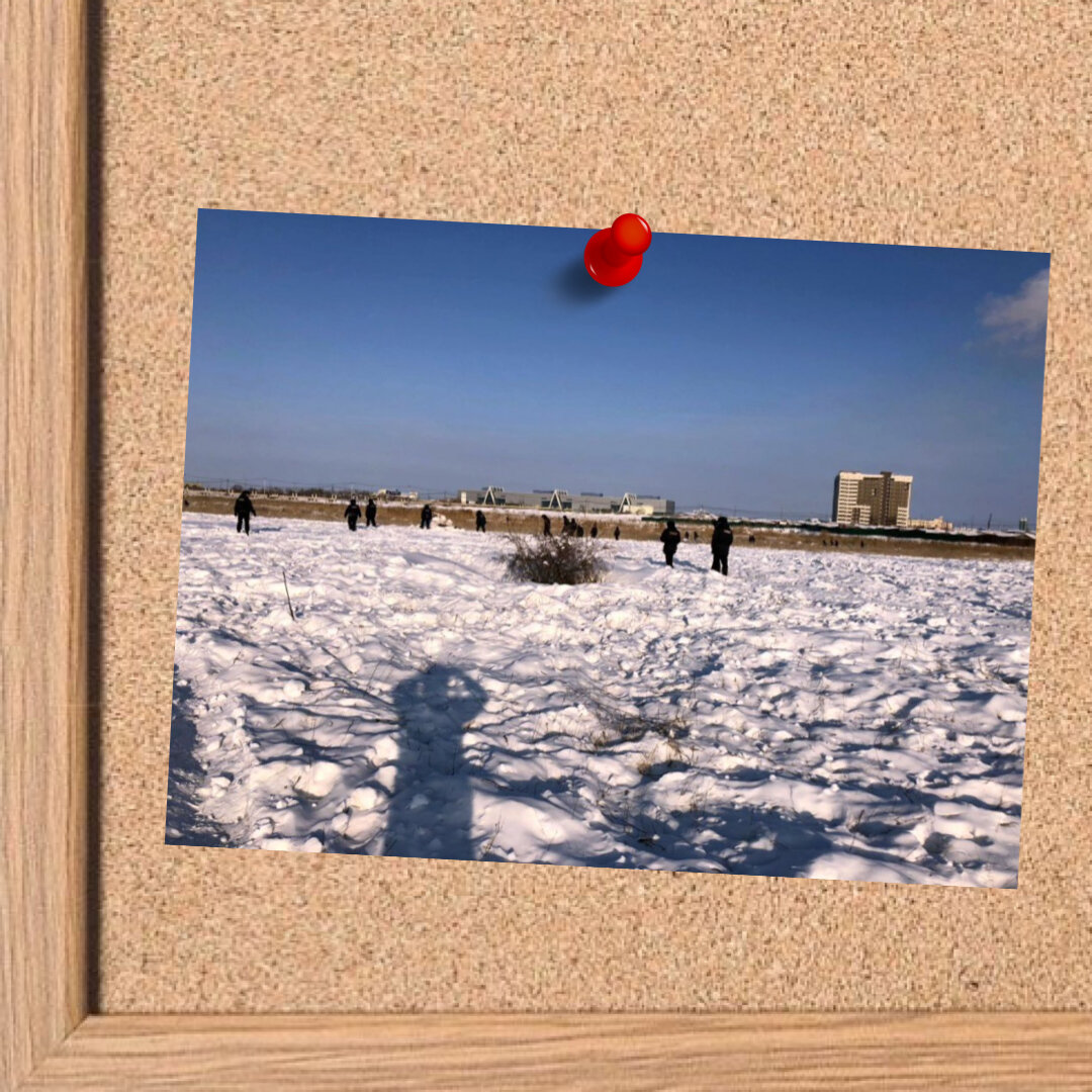 Поиски 