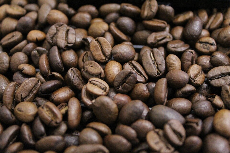 кофе содержит много витамина Р