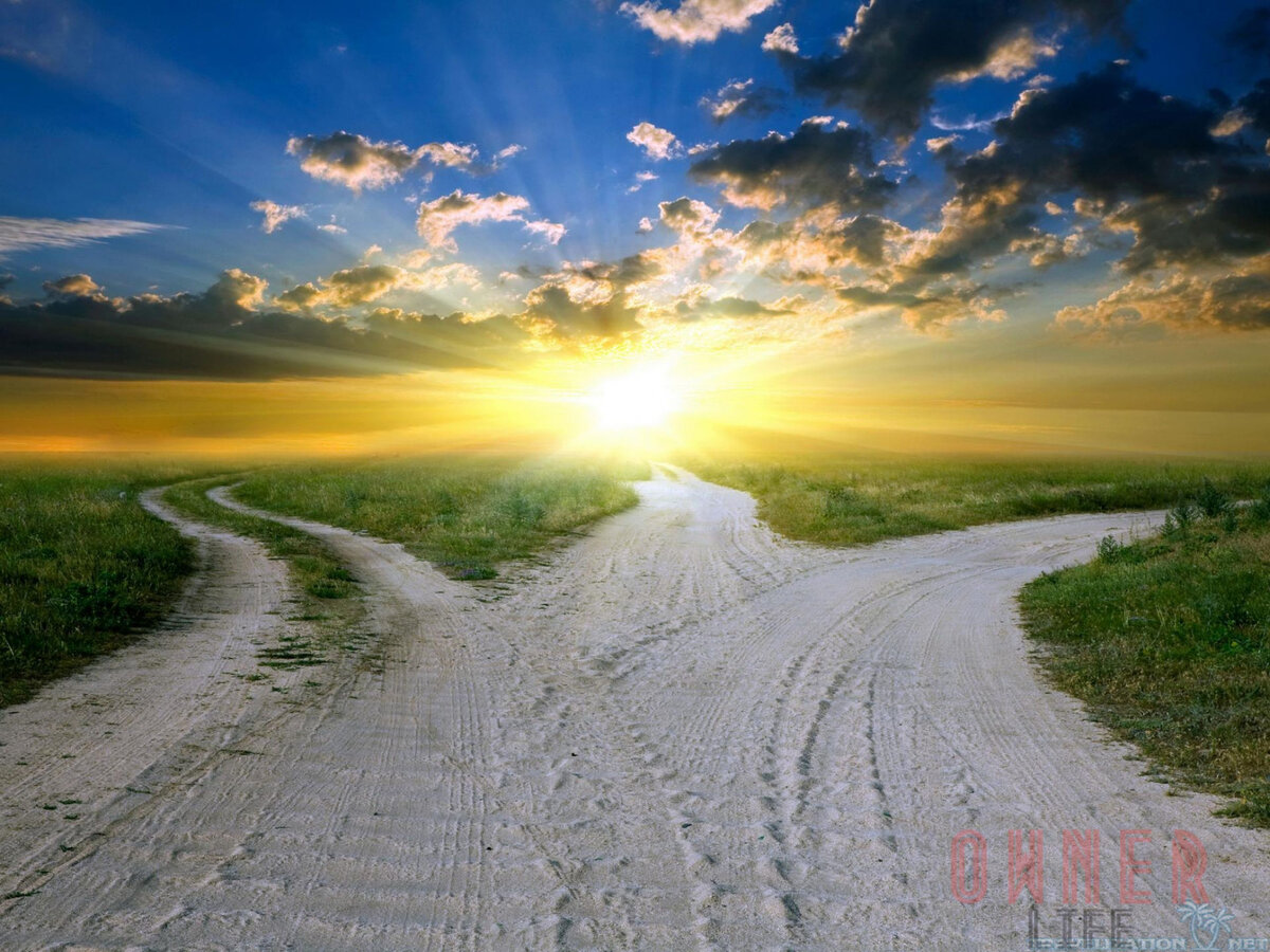 Новая жизнь