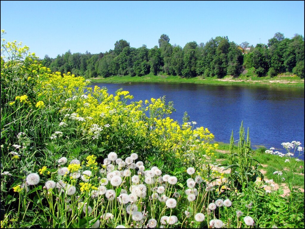 Фото взято из общего доступа сети Интернет. 