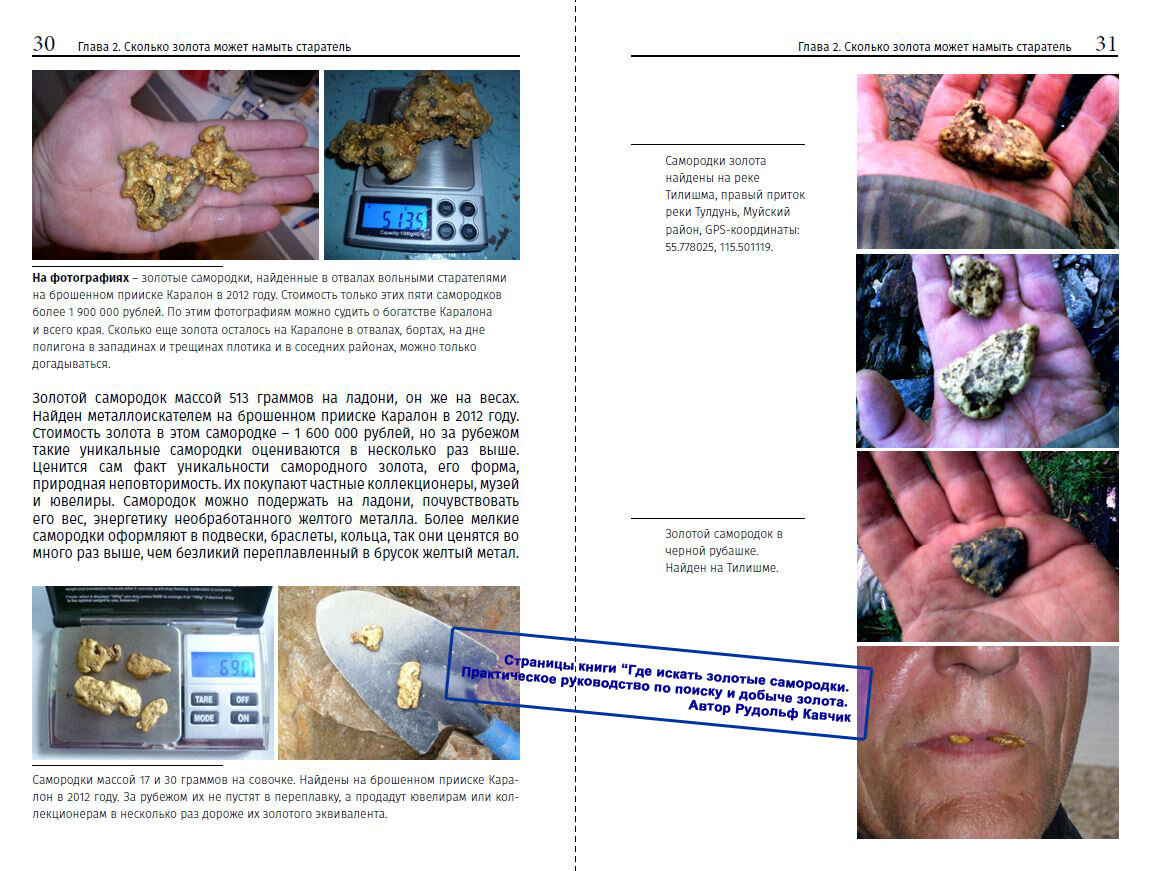 Книга где и как искать золото практическое руководство