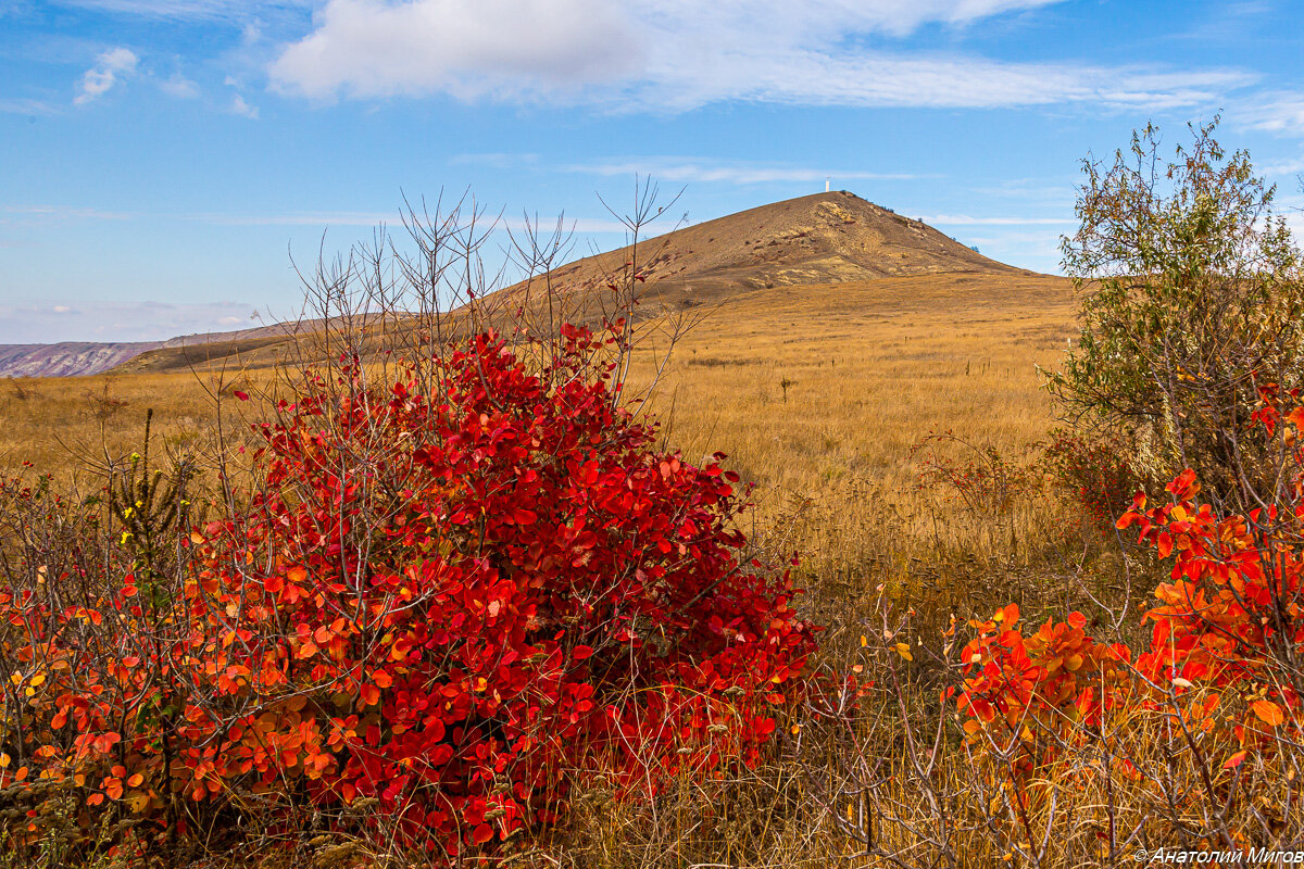 На заднем плане гора Климентьева и памятник погибшим планеристам, а на переднем - полыхающие кусты скумпии.