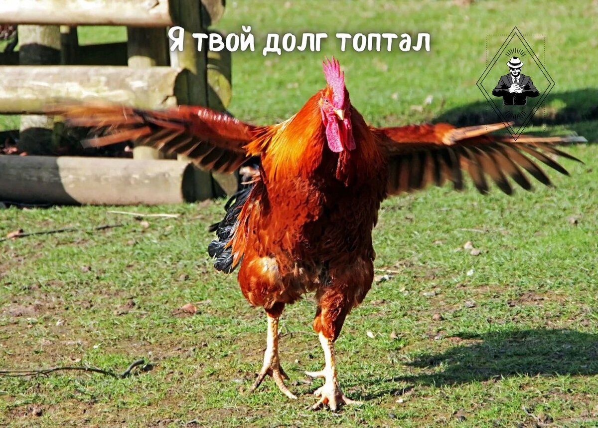 Изображение из открытого источника