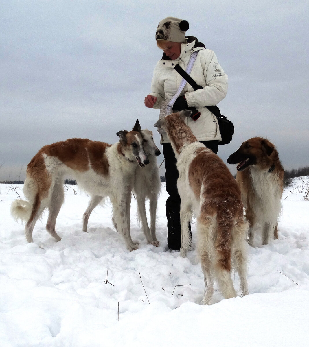 И что там в сумочке?