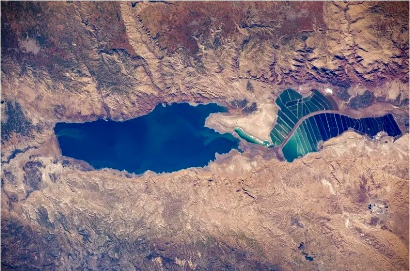 Фото из свободного источника интернет