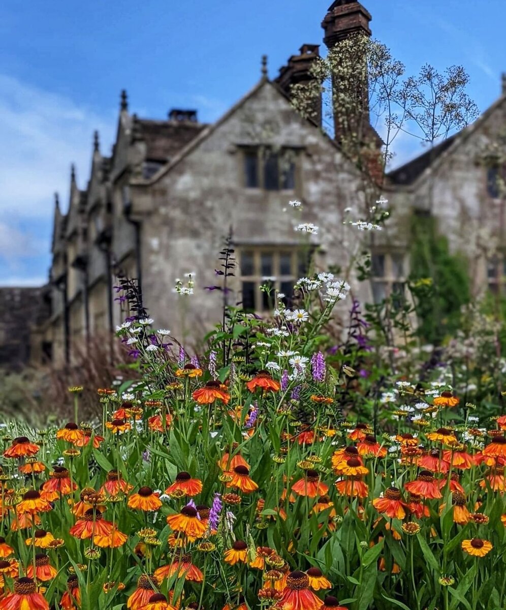 Самый важный коттеджный сад Англии. Уильям Робинсон и его сад Gravetye  Manor | Карельские Дачники | Дзен