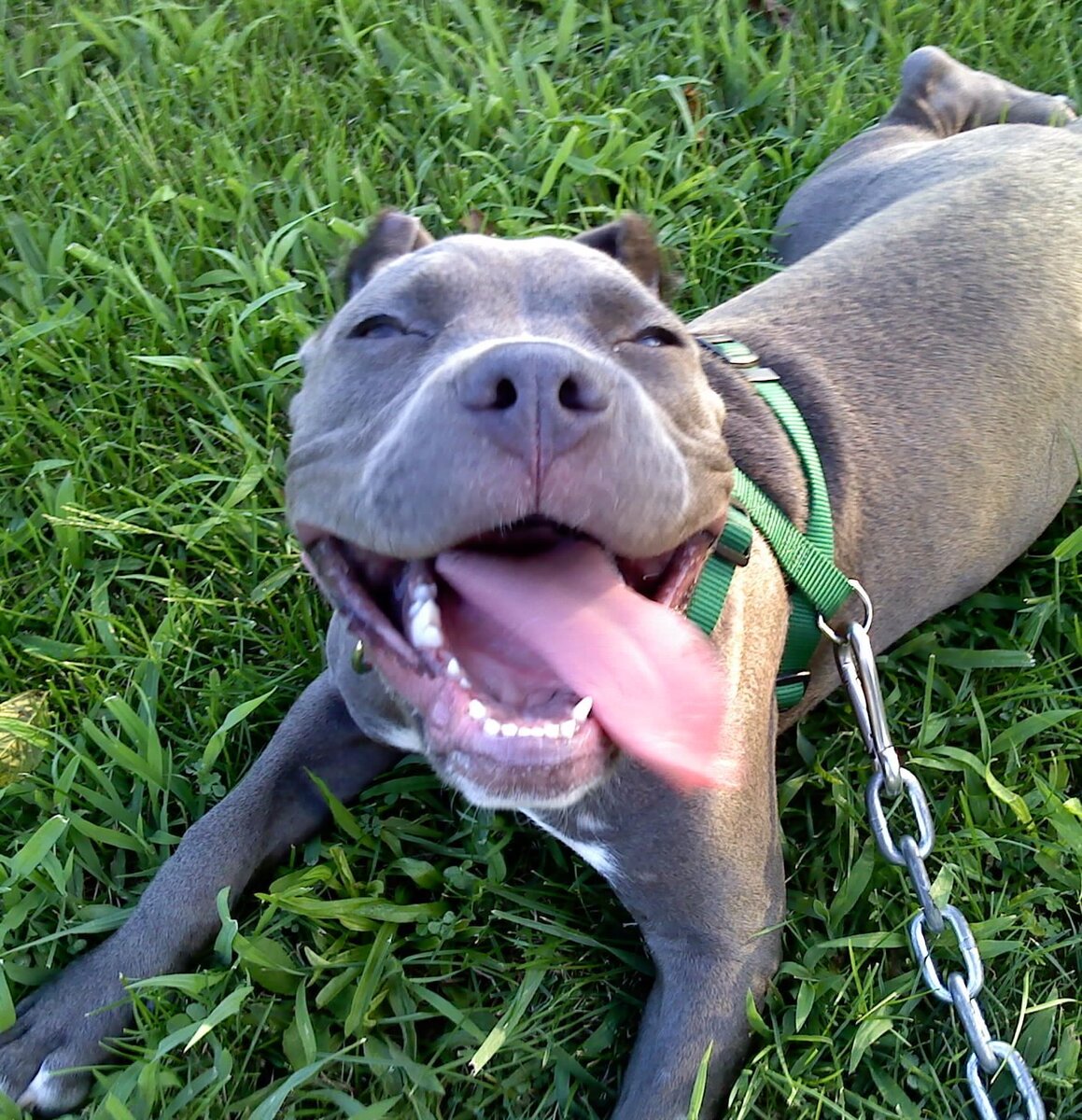 У нас во дворе такие девчонки, я вам скажу...