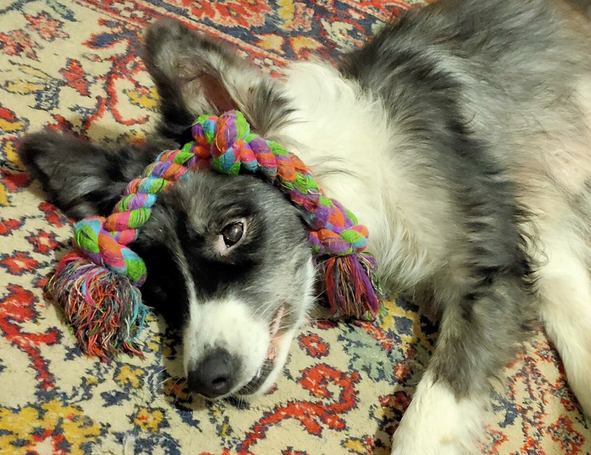 Фотография сделана автором канала