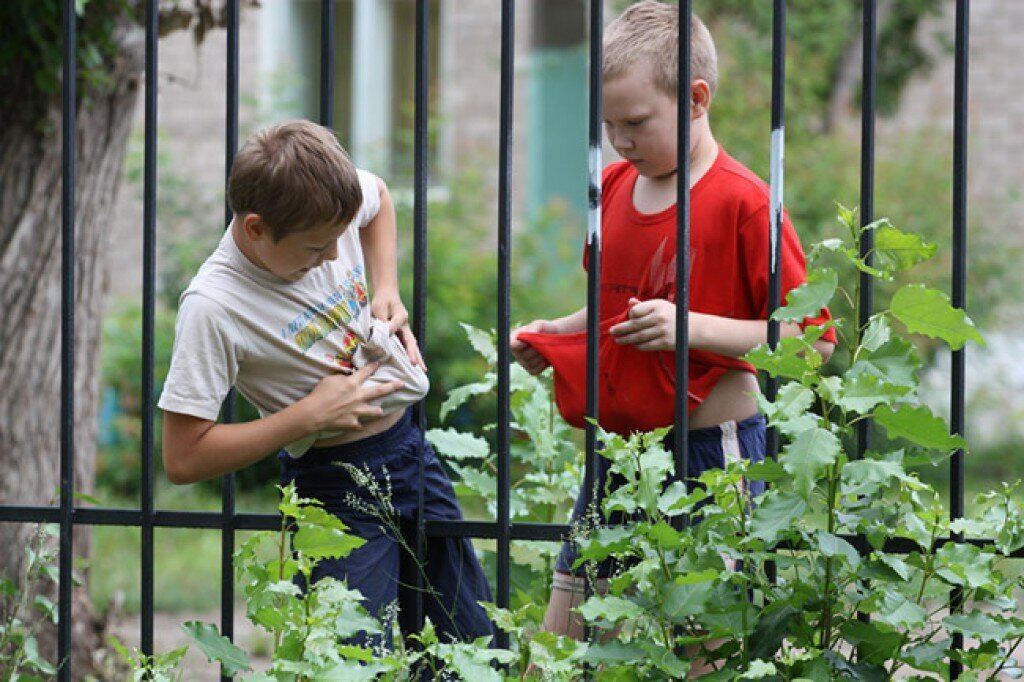 Изменение сайт картинки https://goo.su/9wj2