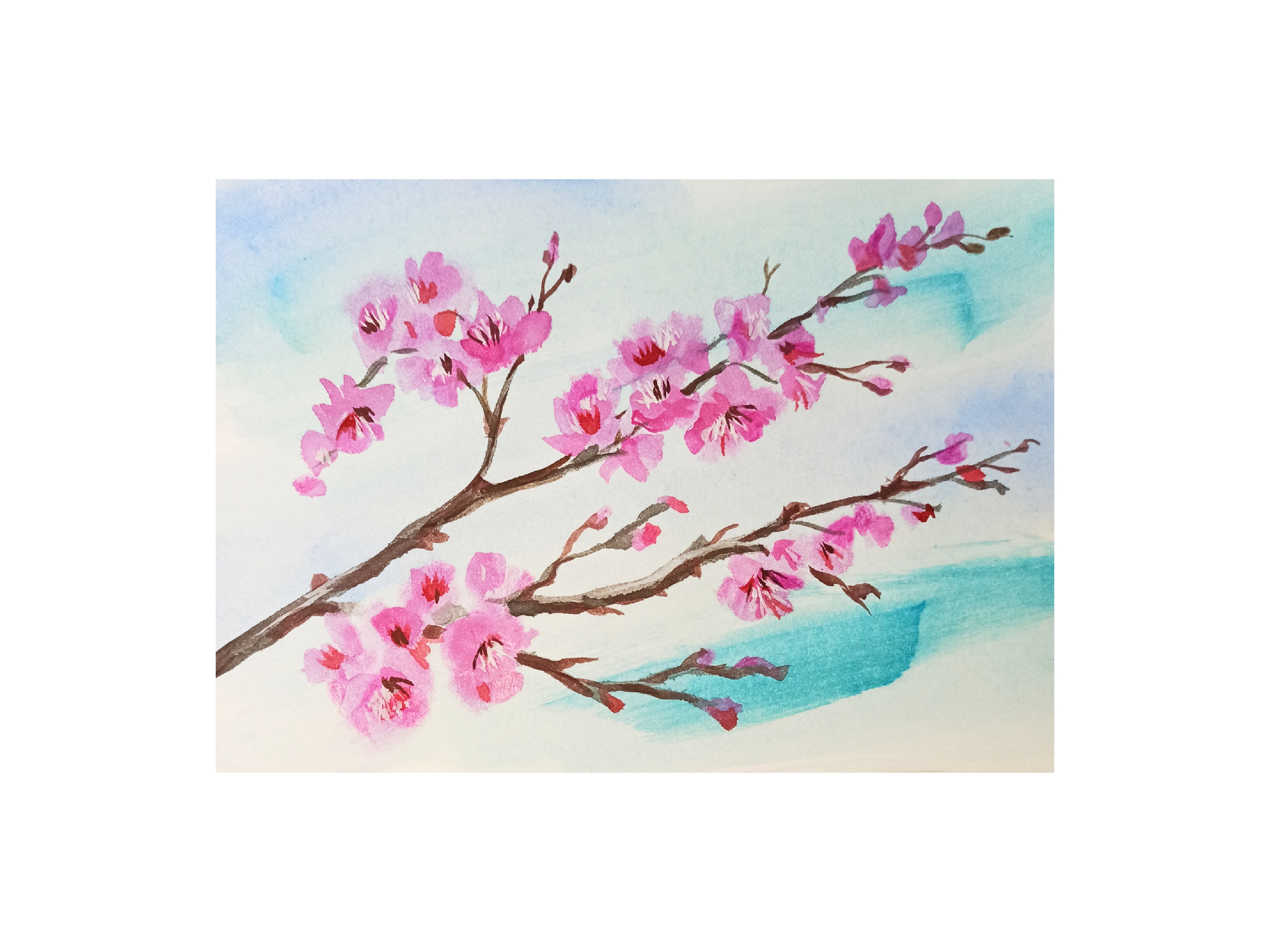 Ветка дерева гуашью. Рисование веточки вербы поэтапно. Веточки для рисования. Рисуем ветку сакуры 4 класс изо. Веточка ивы рисунок карандашом.