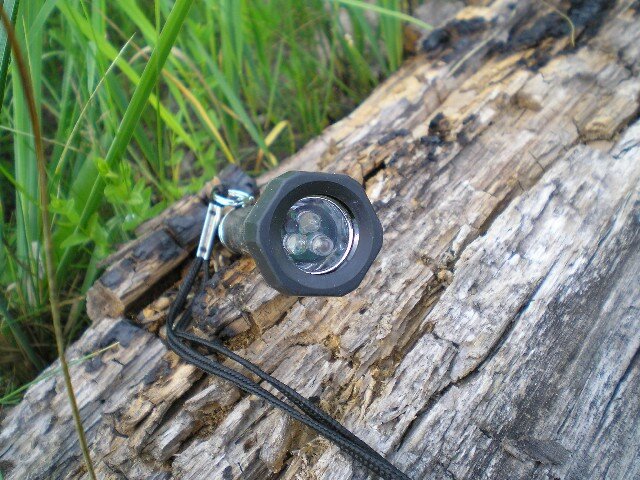 Фото с сайта: https://survinat.ru/wp-content