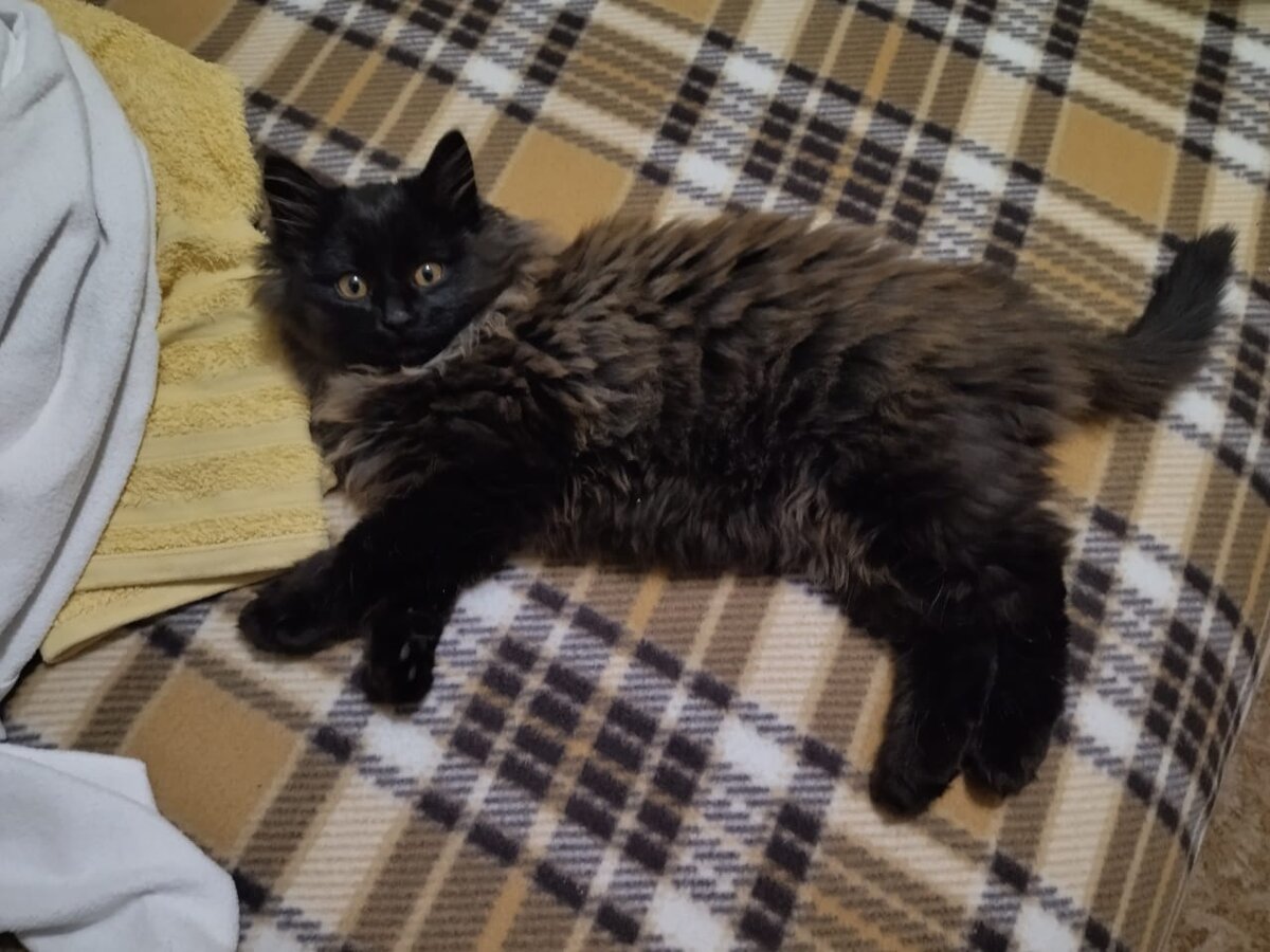 Это Макс. Можно без комментариев.