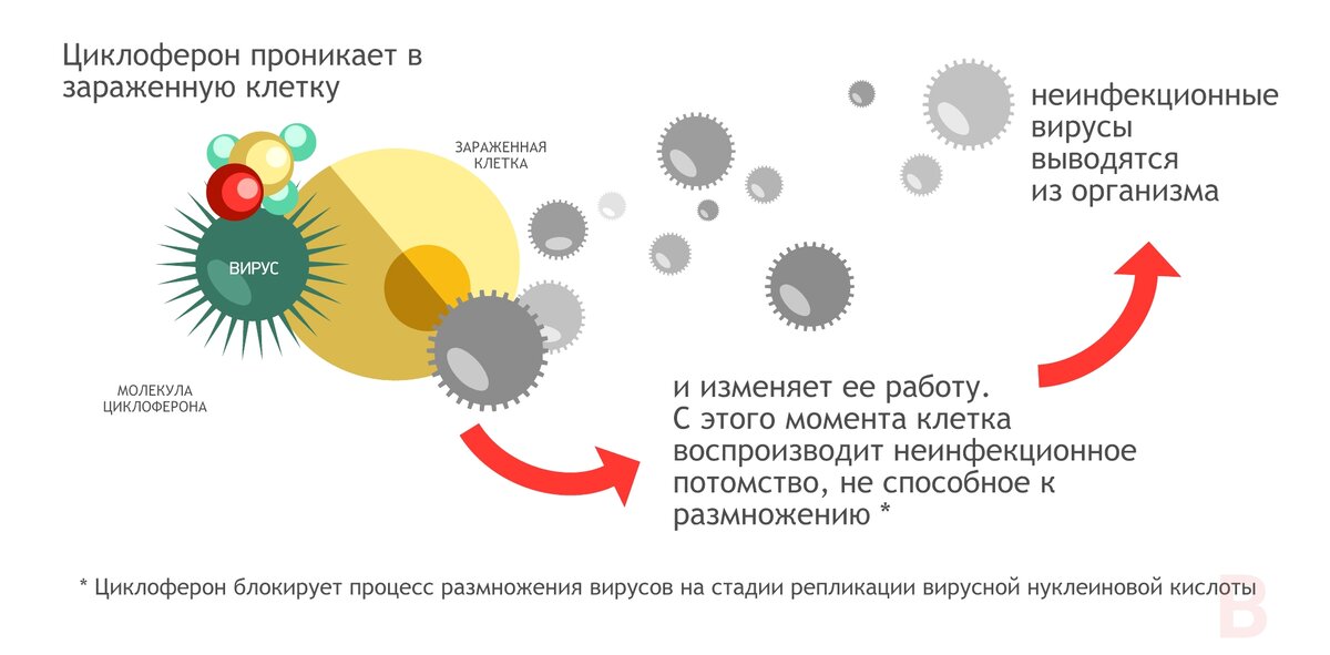 Противовирусное по схеме