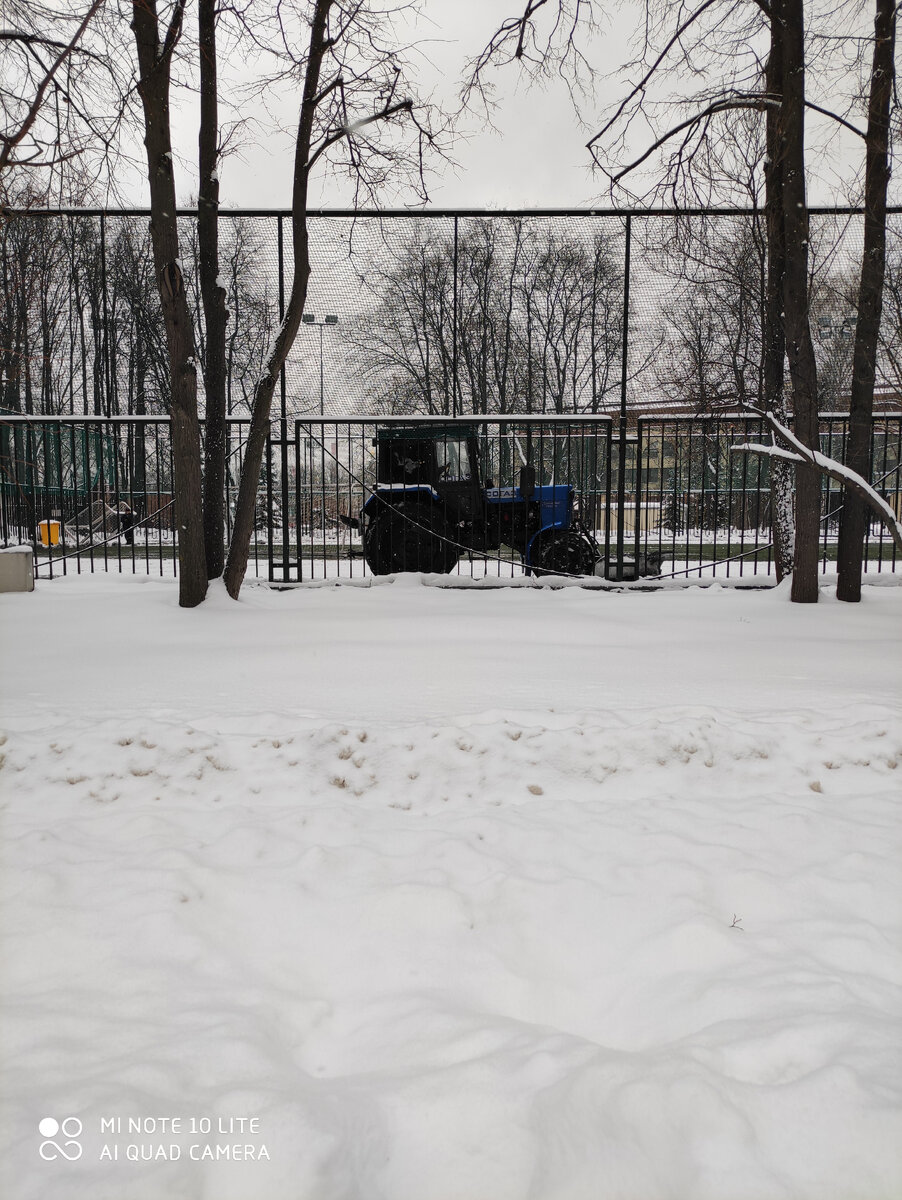 Под снегом зелёная травка.  Завидую, кто будет играть в футбол.