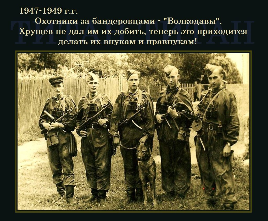 https://newsland.com/community/4765/content/okhotniki-za-banderovtsami-volkodavy-foto-1947-1949-g/5791266 