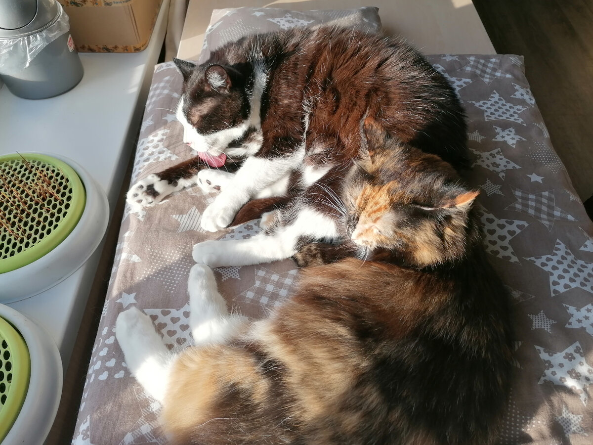 Приятно заняться СПА в солнечных лучах.