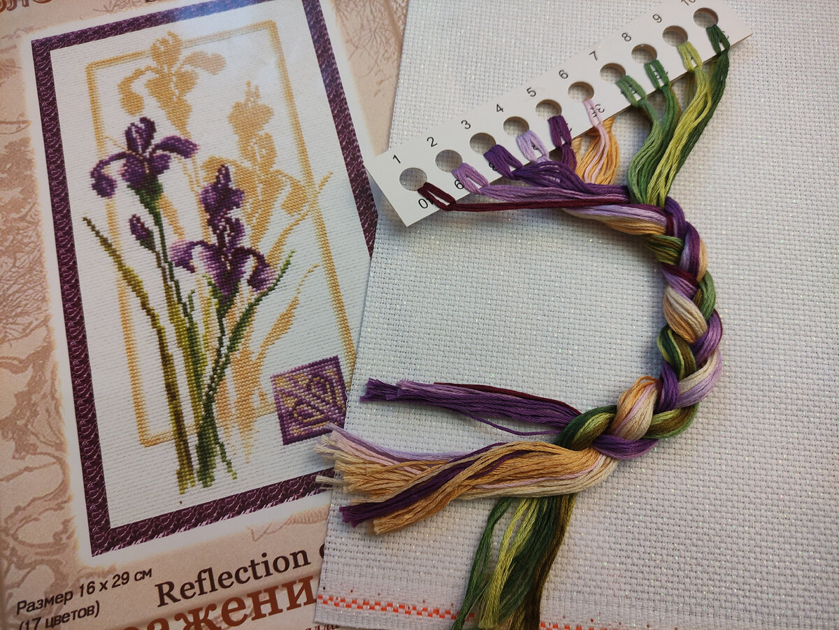 Отражение росы. Ирисы от Золотого Руна