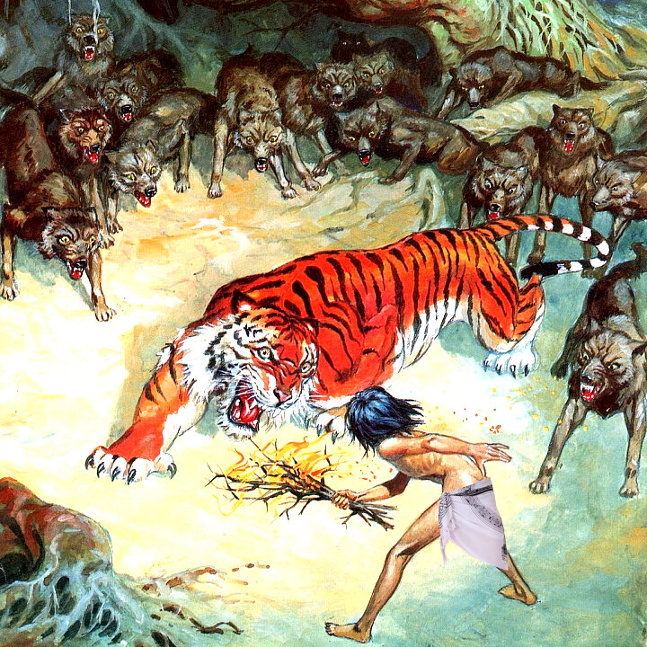 Фотографии из открытых источников