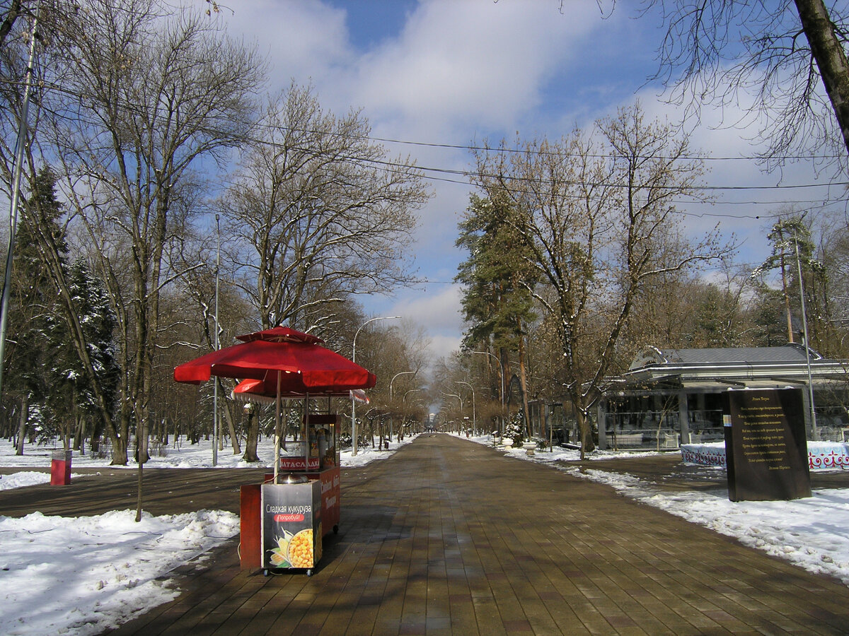 В парке Нальчика. На дорожках снег уже подтаял.