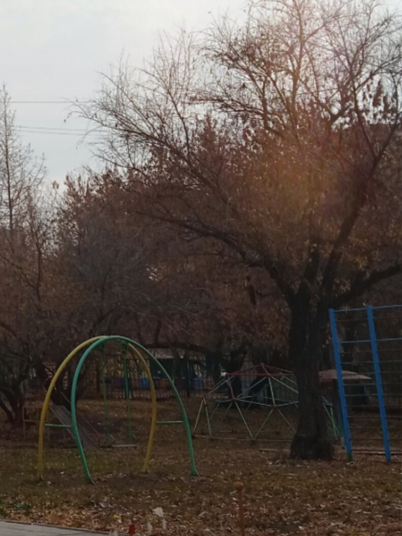 Фрагмент этой странной фотографии.