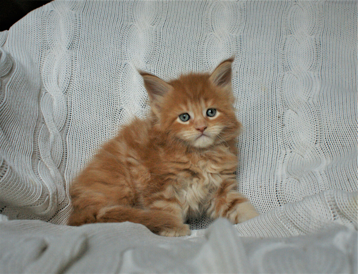 Фото из личного архива.