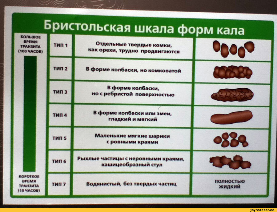 Черный стул у собаки после говядины