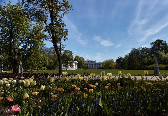 Фото: vk.com/elaginpark