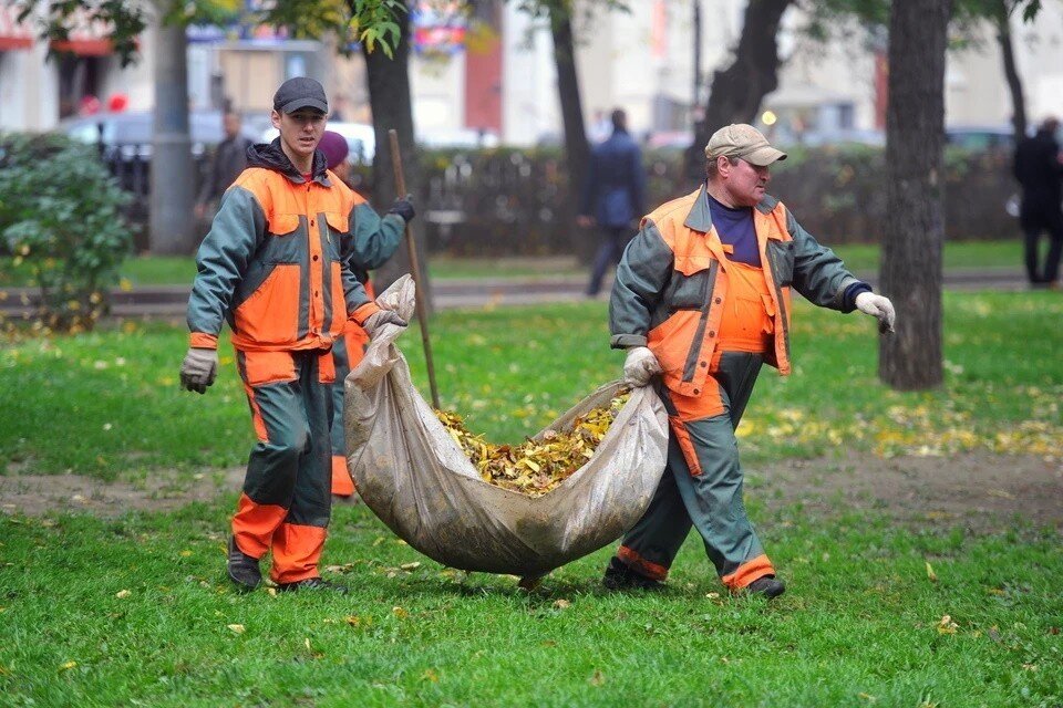     В Москве увеличили частоту подметаний улично-дорожной сети из-за опавшей листвы Евгения ГУСЕВА