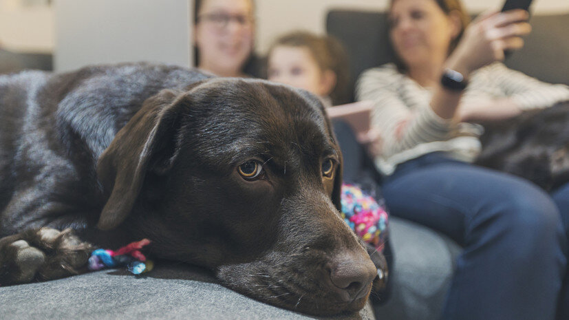   Gettyimages.ru Justin Paget