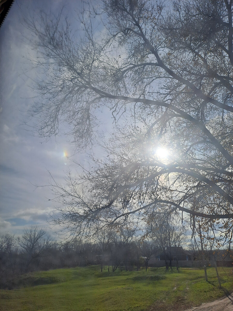 Осень ты всегда чиста и свободна пред зимой. Душа твоя оголена, как пред покаяньем.                     /от автора/