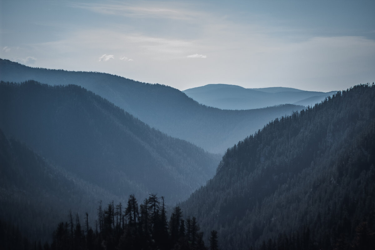 Красота Хамара