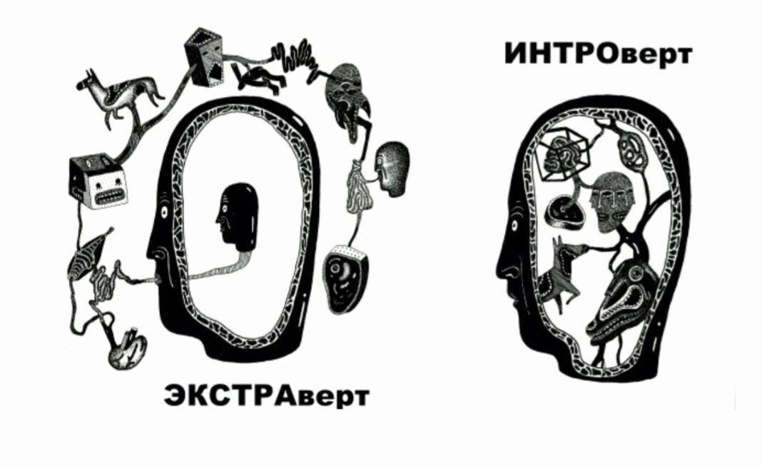 Экстраверты и интроверты характеристика. Типы людей интроверт и экстраверт. Экстраверт вис интроверт. Интроверт это человек который экстраверт. Типы личности экстраверт интроверт.